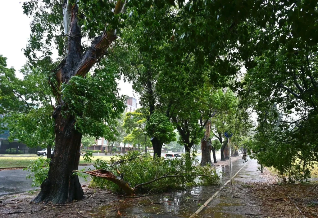 MetSul describe la “ruta del ciclón extratropical” en Uruguay: se esperan vientos de más de 100 Km/h