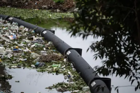 Mario Bergara apuesta a recuperar el Miguelete: la IMM presentó medidas para mejorar el agua del arroyo