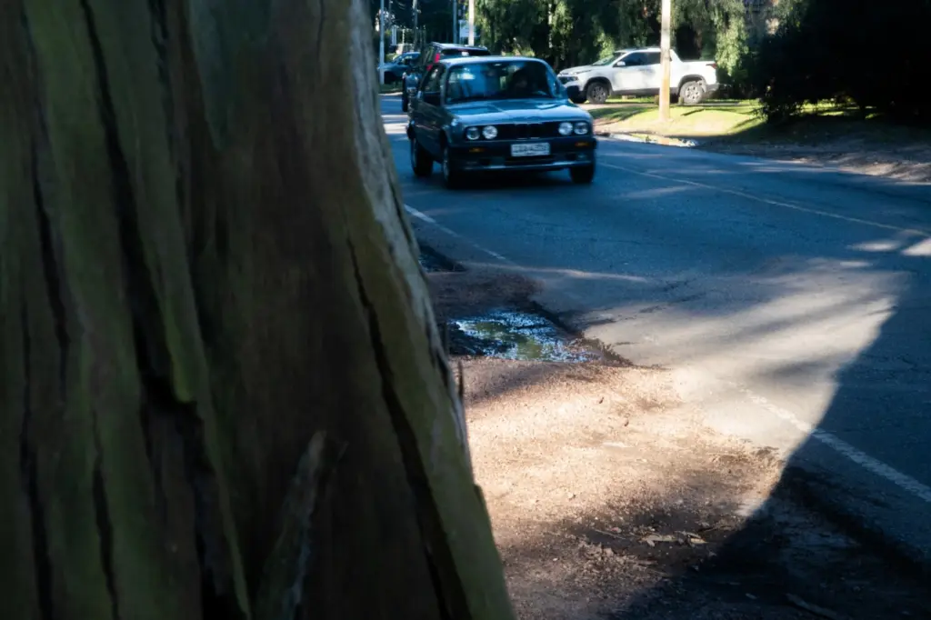 “Hay barrios detonados»: advierten por el estado de las calles en Montevideo y el impacto que tendrán los BRT